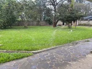 Prime 1-Acre Flat Land for Sale | James Gichuru Road