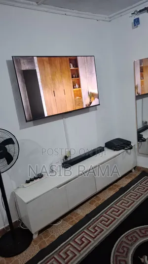 Television