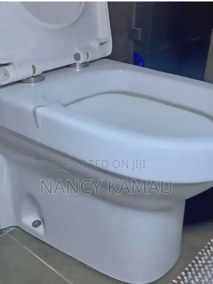 Super Toilet Cleaning