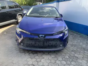 Toyota Corolla LE 2020 Blue