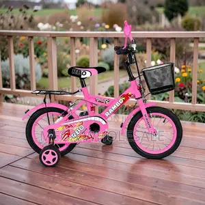 Secure 4–6 Years Size 16 Inch Color Pink Kids Bike Bicycle