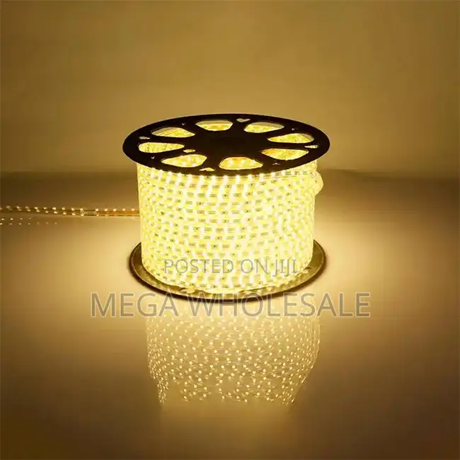 Single Color 50M Metres SMD Warm White Led Strip Light Snake Light