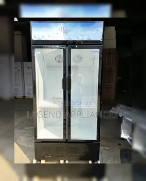 Roch 505L Vertical Showcase Model (SIDE BY SIZE) Refrigerator
