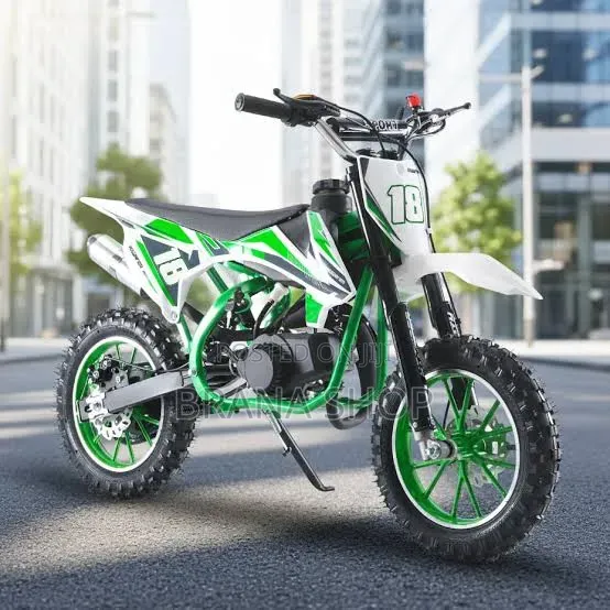**OneMXTM EX1S 36V Lithium 500W Kids Dirt Bike – Green **