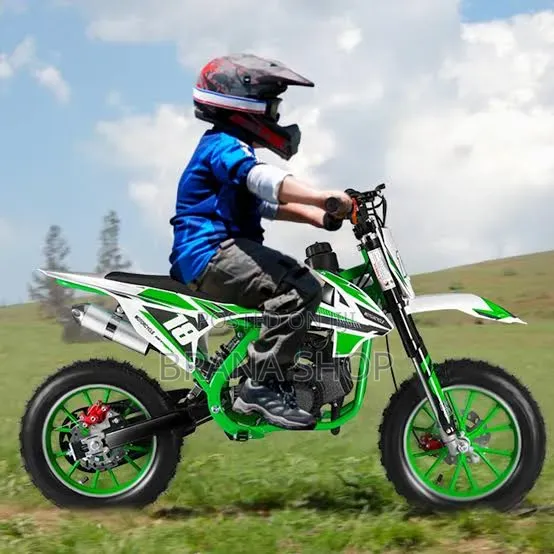 500W 36V Kids Electric Motorbike – CRF 450RX Style Green 