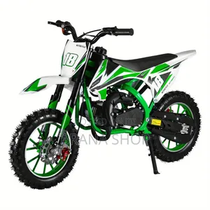 **CRF 450RX Style Green Electric Dirt Bike for Kids – 36V 500W **