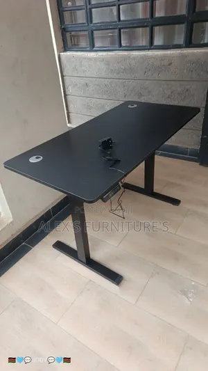 Gaming Modern Office Desk/Electric Adjustable Gaming