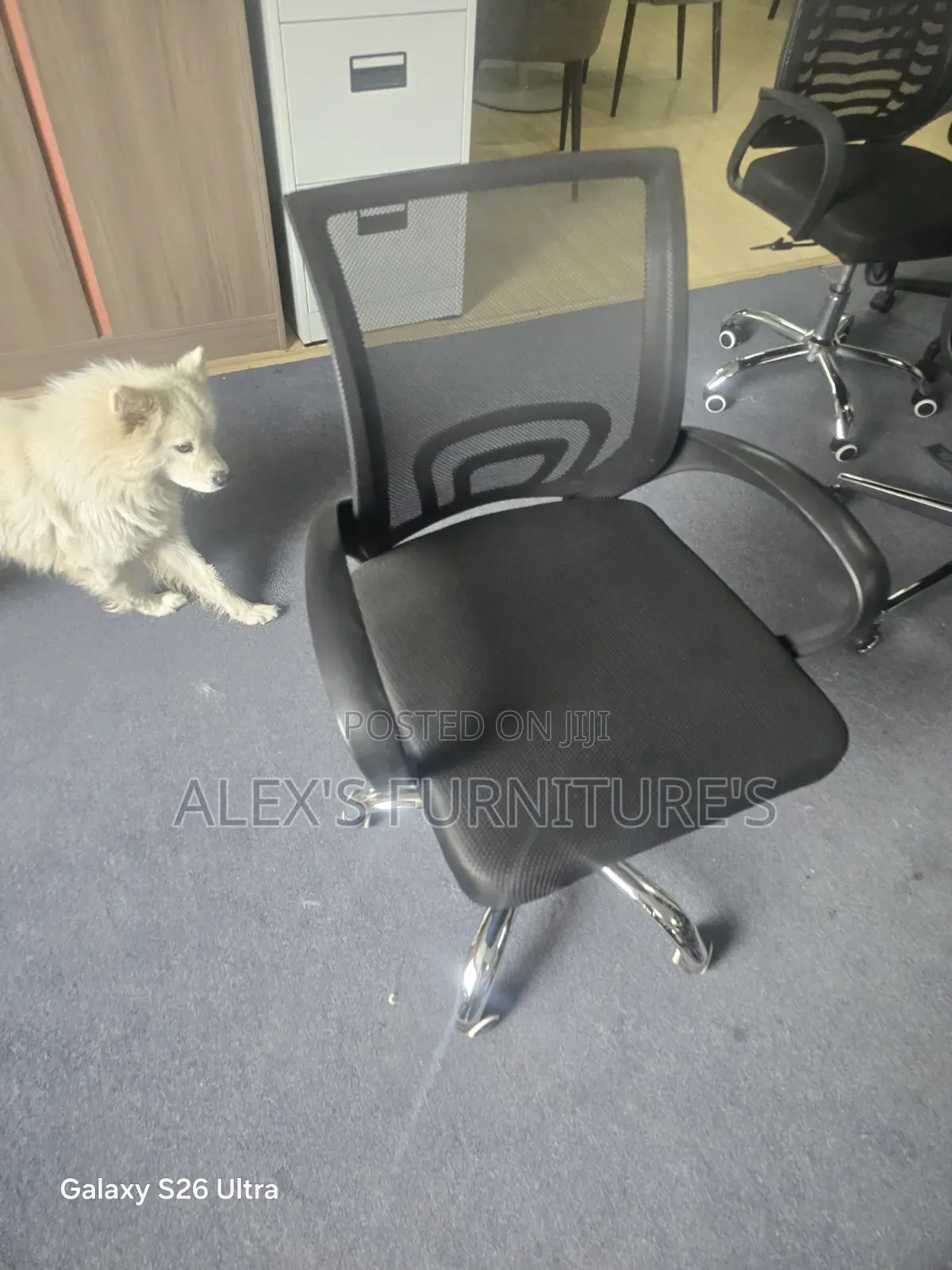 Midback With Metallic Office Base /Adjustable Office Chairs