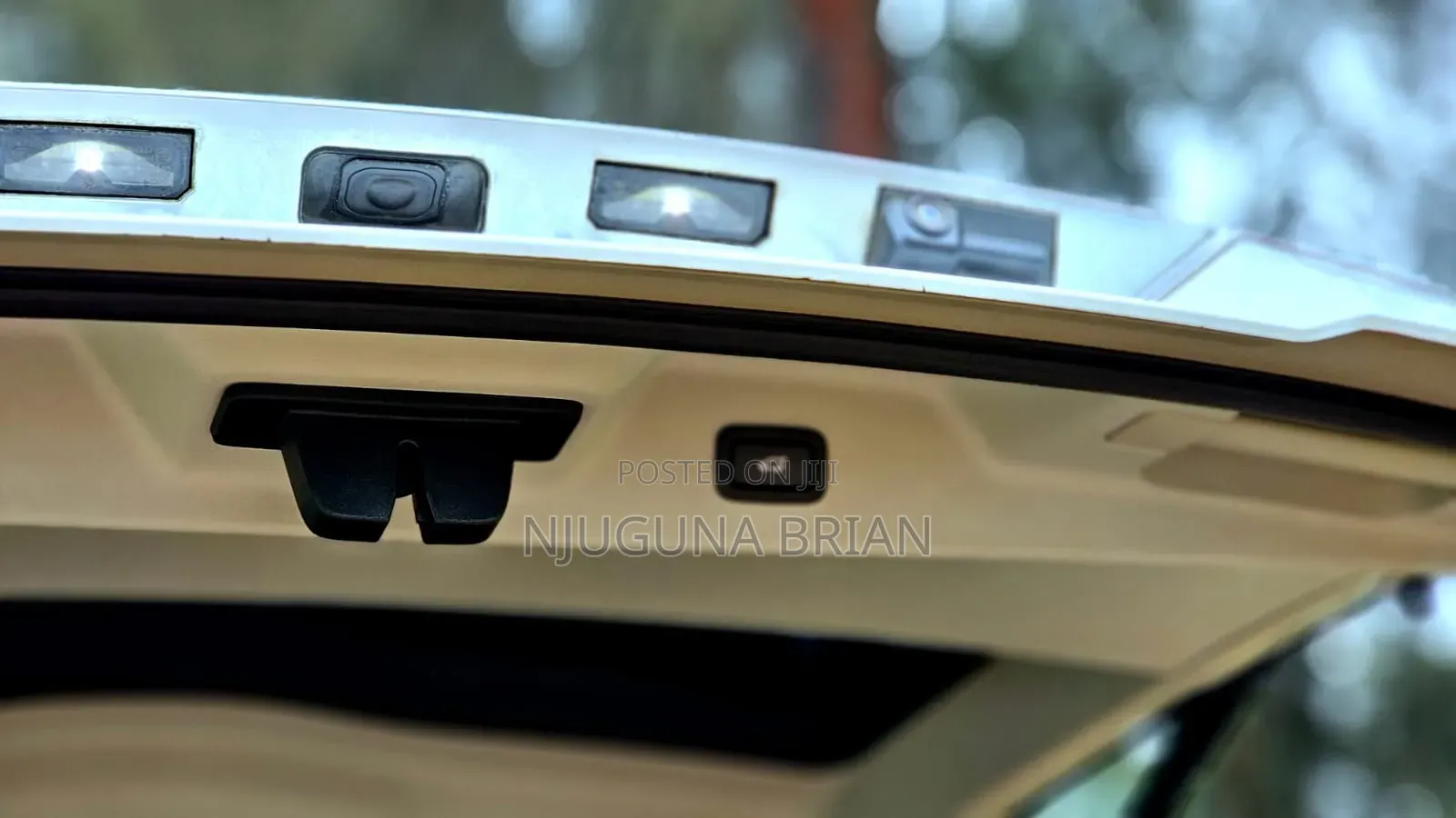 Rover Land 2013 White
