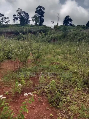 50*100 Plot Naivasha Nakuru Highway