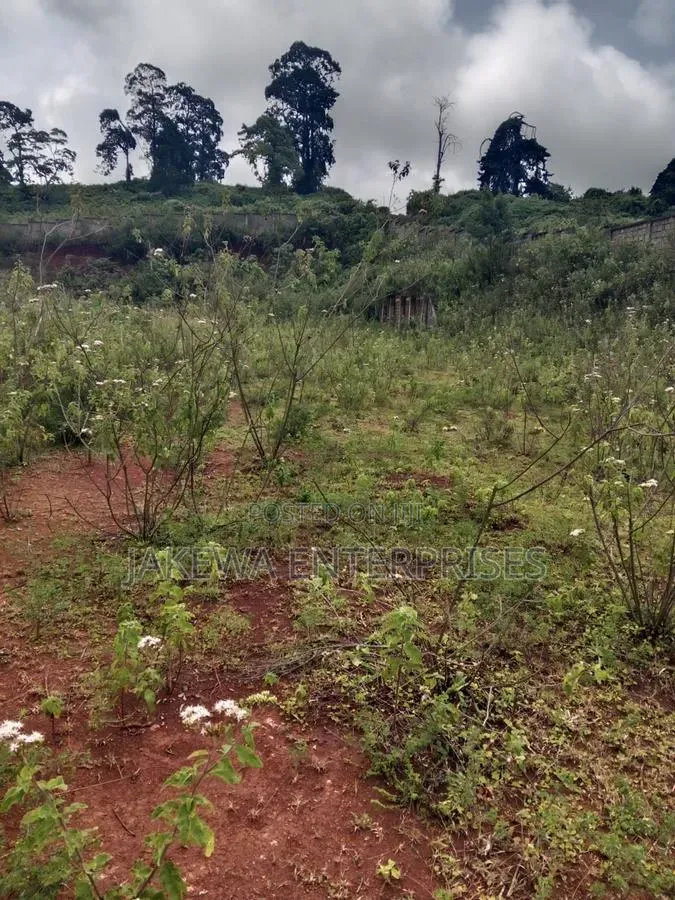 50*100 Plot Naivasha Nakuru Highway
