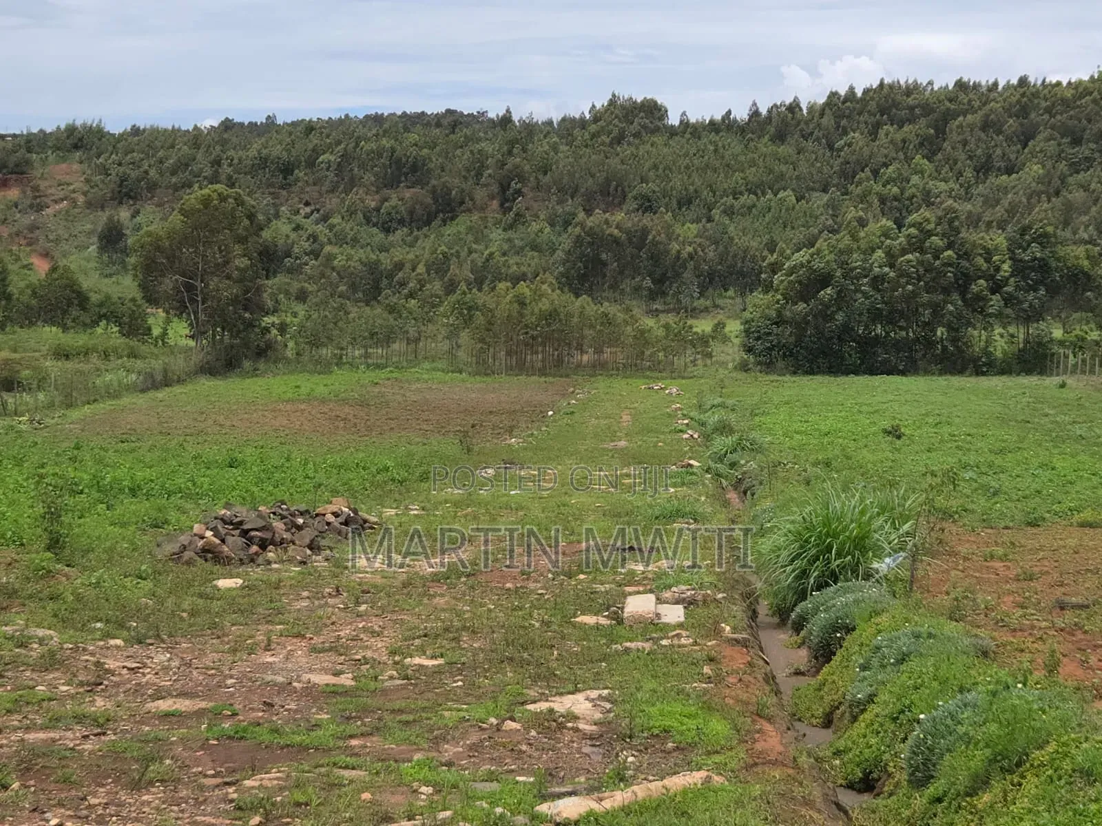 Plot for Sale