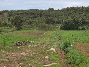Plot for Sale