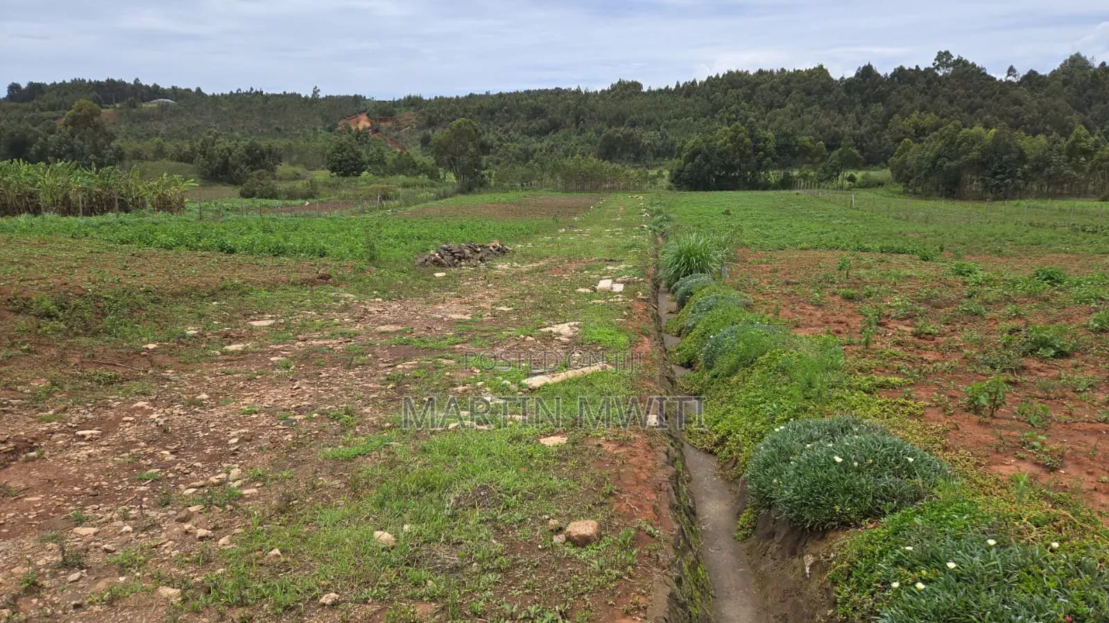 Plot for Sale