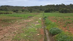 Plot for Sale