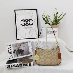 Fancy Coach Bag