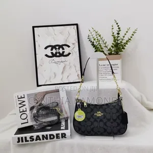 Fancy Coach Bag