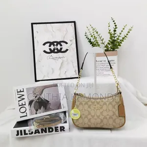 Fancy Coach Bag