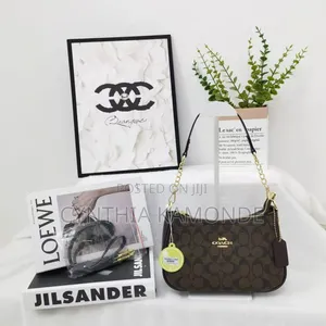 Fancy Coach Bag