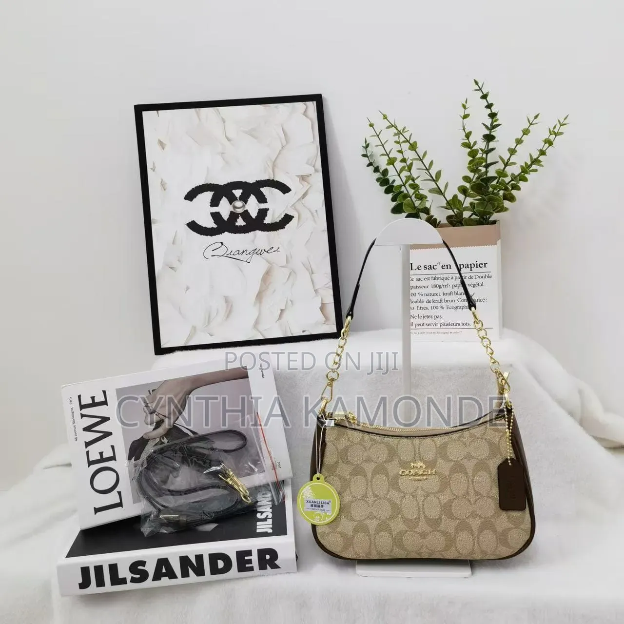 Fancy Coach Bag