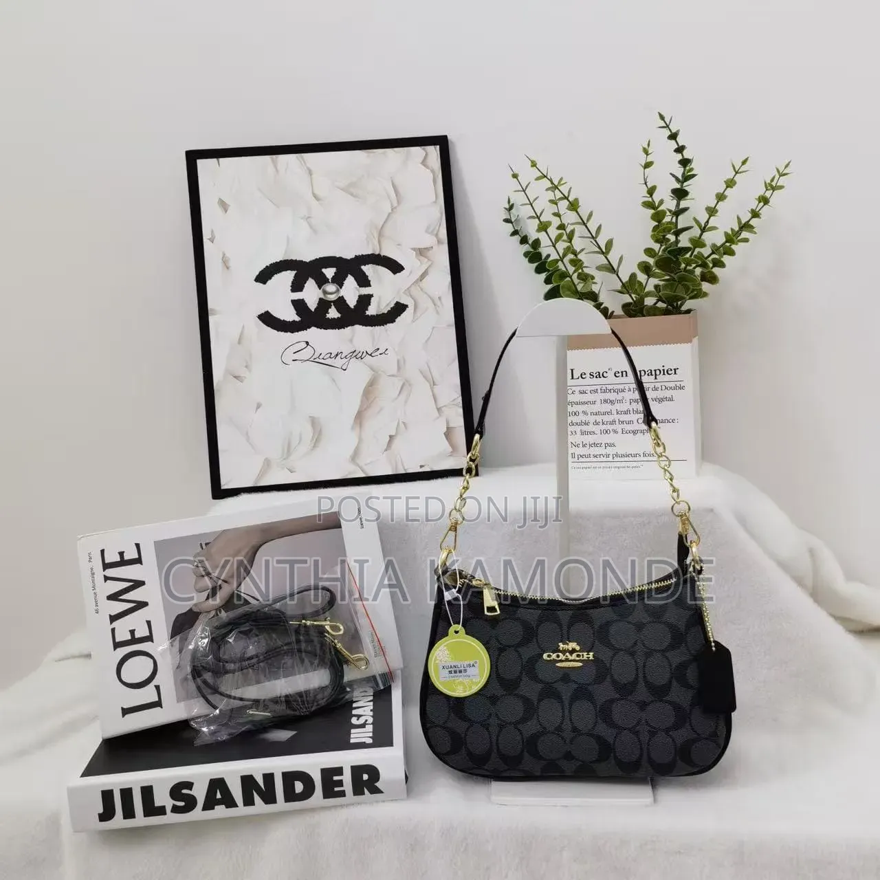 Fancy Coach Bag