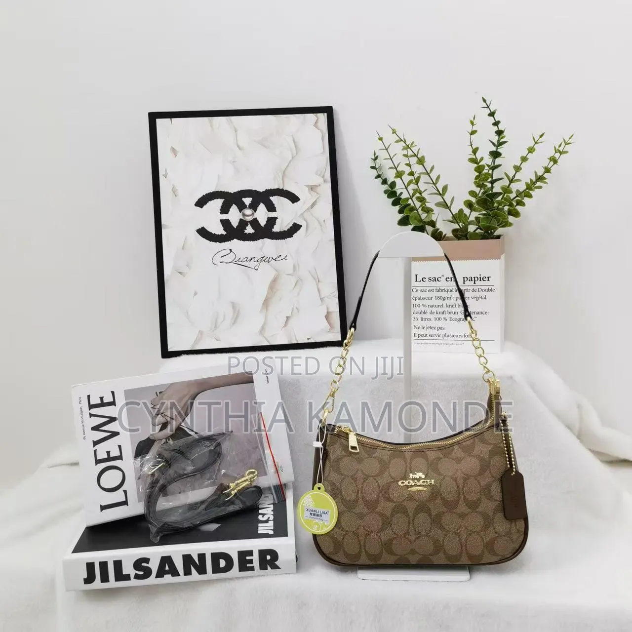 Fancy Coach Bag