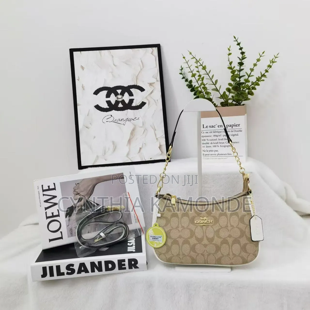Fancy Coach Bag