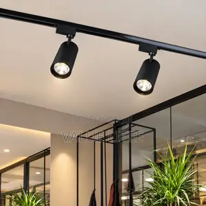 30 Watts COB Tracklight