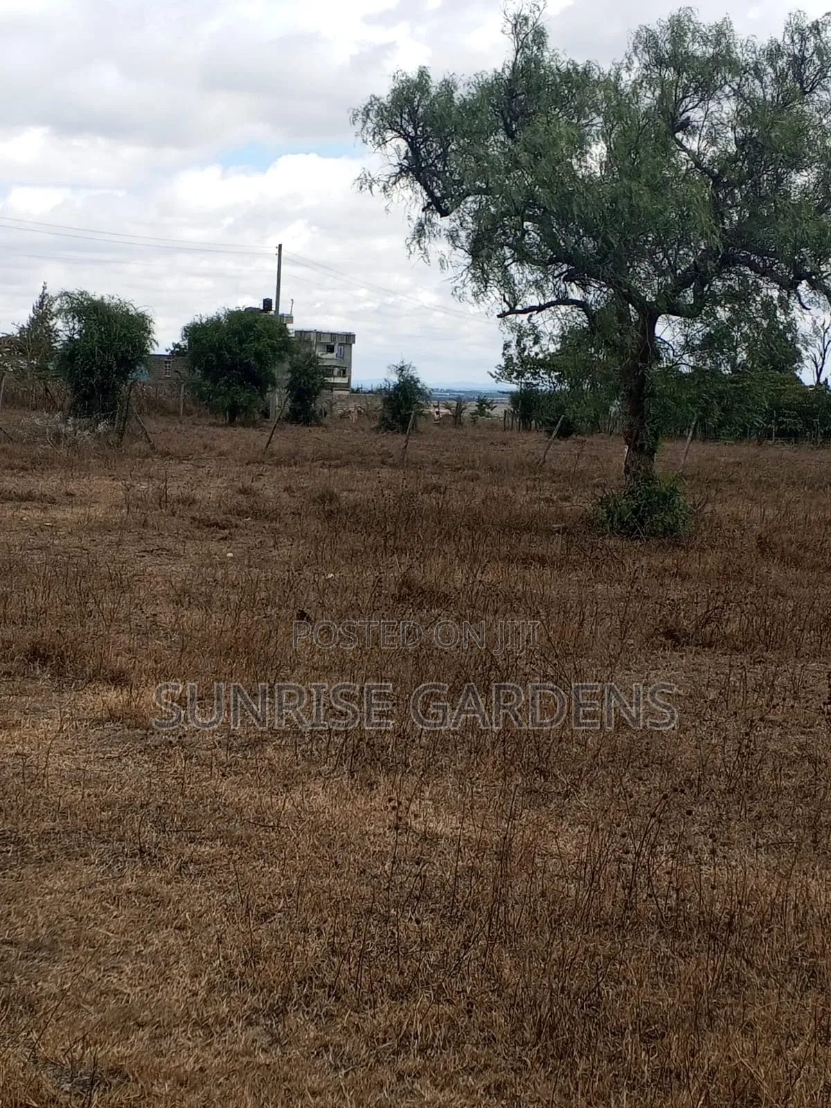 50×100 Plots for Sale at Acacia Kitengela