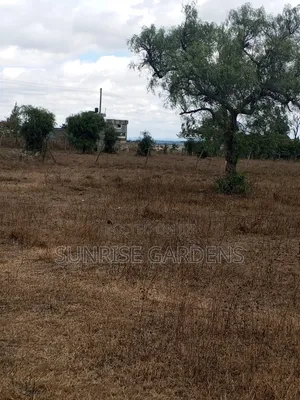 50×100 Plots for Sale at Acacia Kitengela