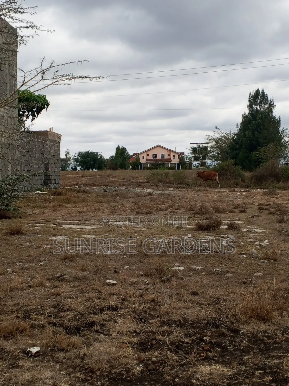 50×100 Plots for Sale at Acacia Kitengela