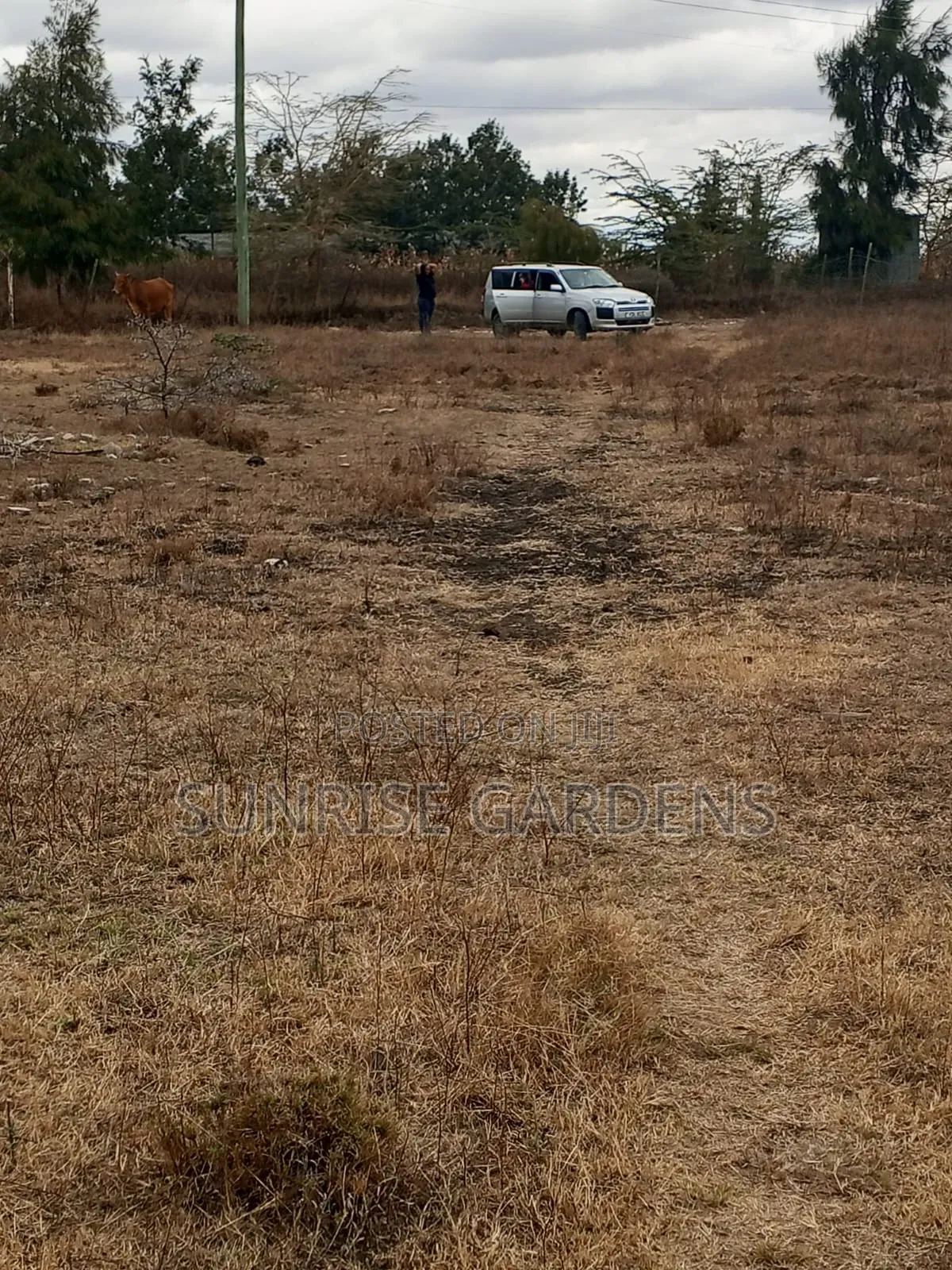 50×100 Plots for Sale at Acacia Kitengela