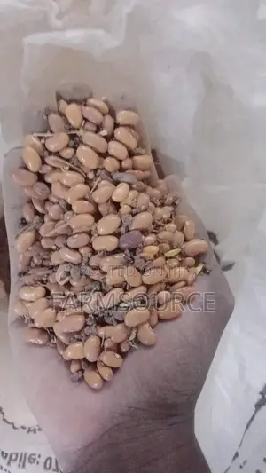 Wairimu/Zaire Beans