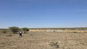 54 Acre Touching Tarmac at Rumuruti