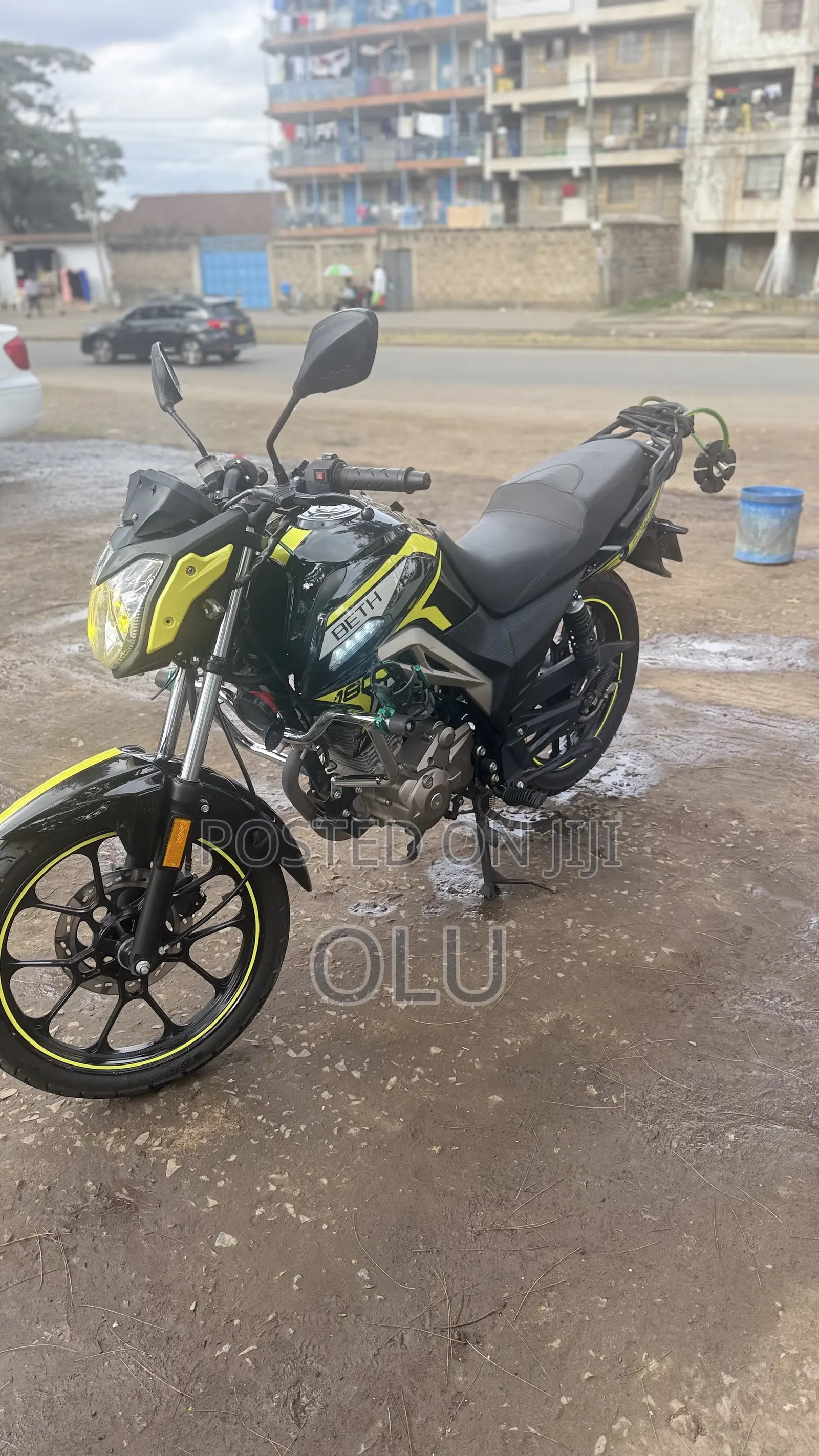 Beth Iron Horse 180 2022 Green