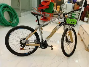 Reset Size 29 Mountain Bike