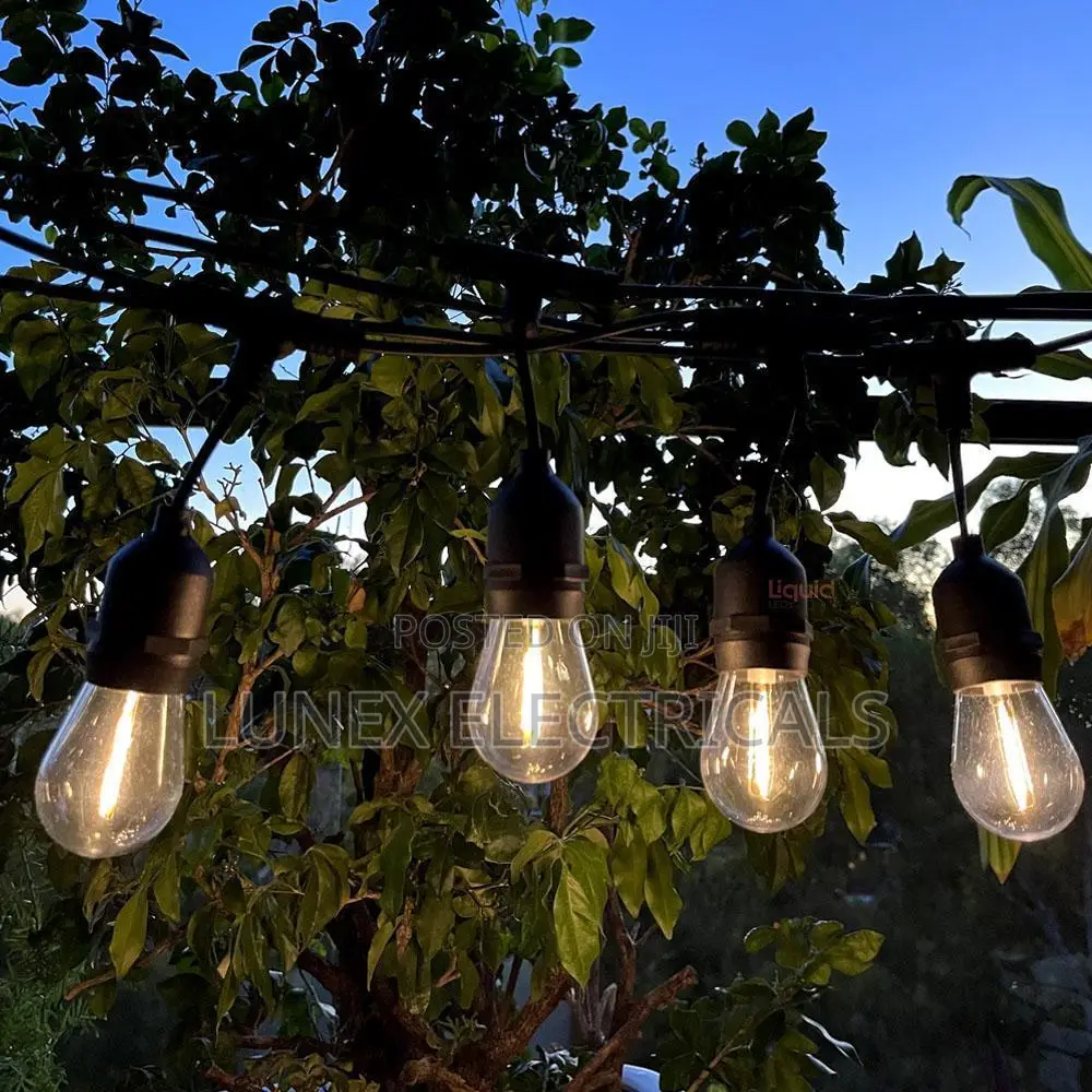 Ferry String Lights 20M 20 Bulbs Black Warm White Outdoor Waterproof