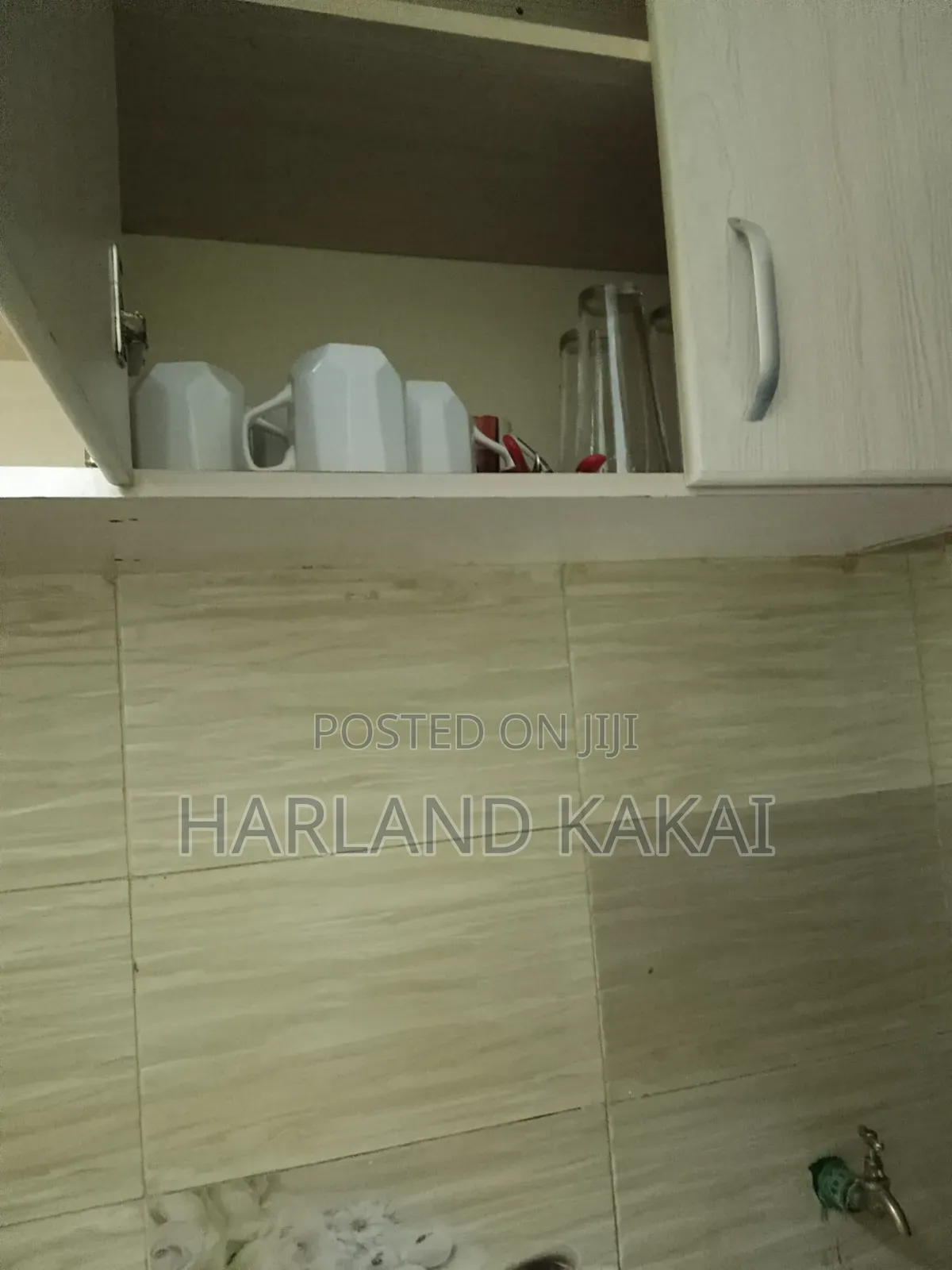 Roysambu Mirema Air BnBs