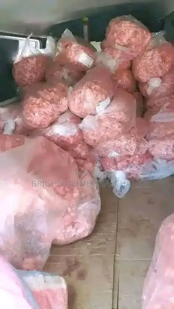 Pet Accessories