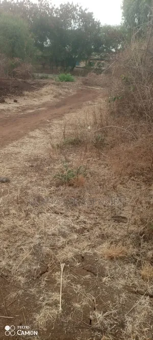 2.5 Acres in Mwea