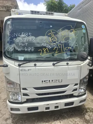 Isuzu Elf Refer Body 2019 White