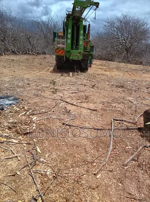 Borehole Drilling
