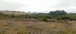 Land for Sale in Kiserian