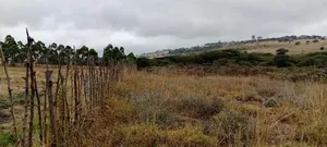 Land for Sale in Kiserian