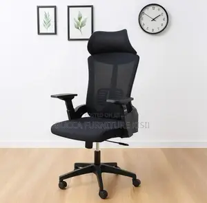 Lama Orthopedic Office Chair