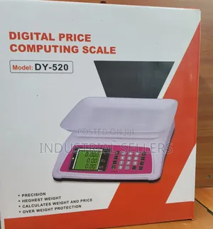 Dy-520 Weighing Scale High Accuracy
