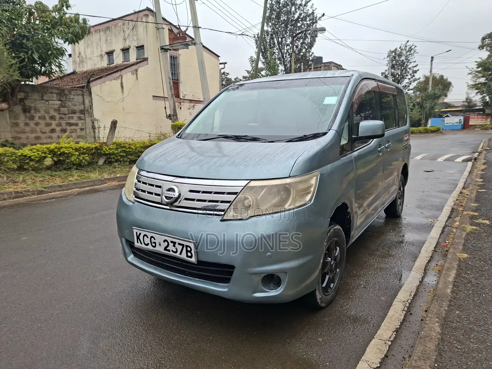 Nissan Serena 2009 Blue
