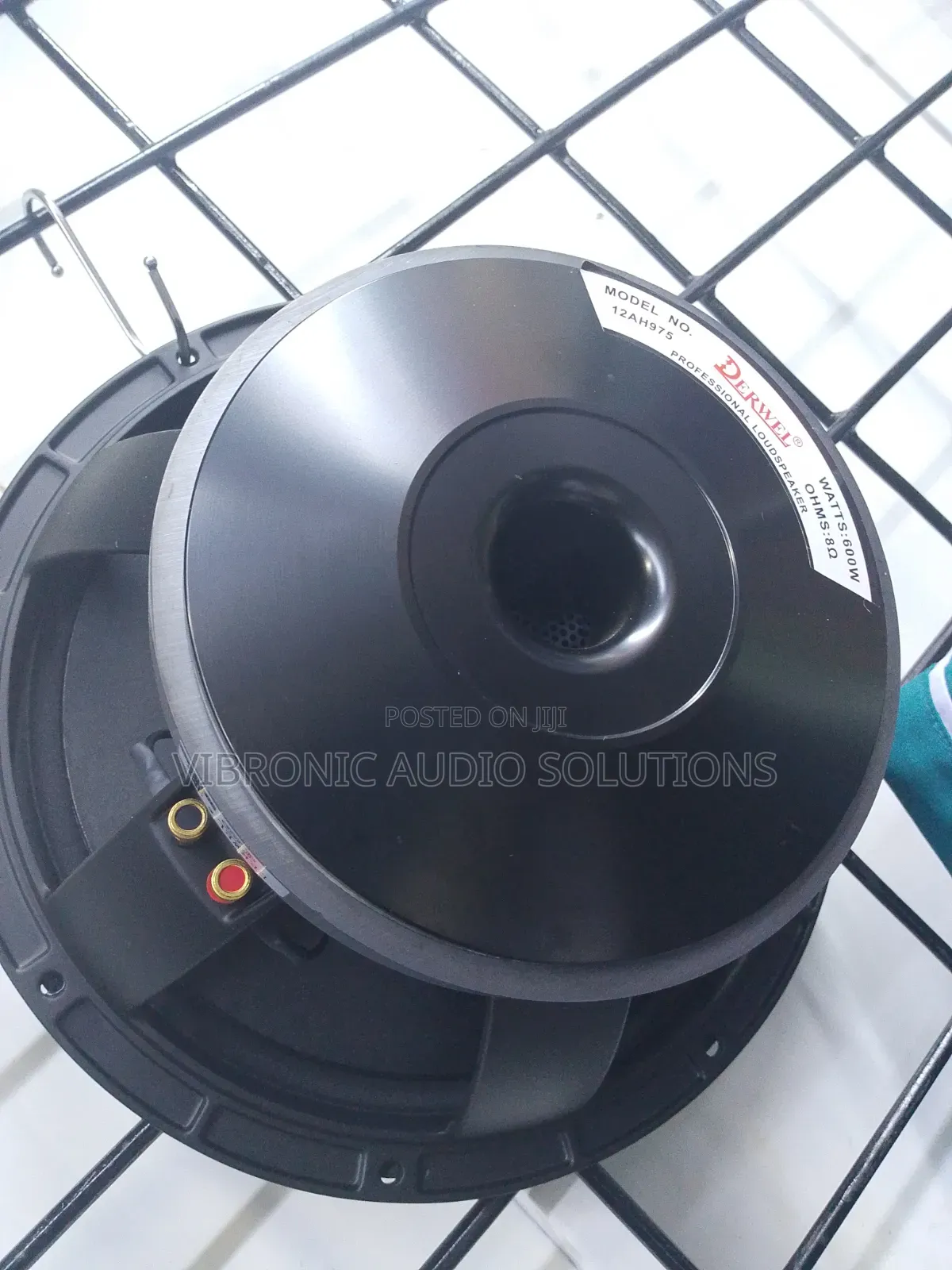 Pd 1850 Naked Speaker