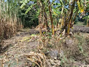 1/2 Acre Prime Land for Sale at Vet Ngong