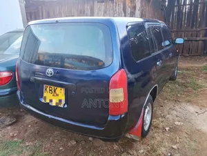 Toyota Probox 1.5 DX 2WD 2004 Blue